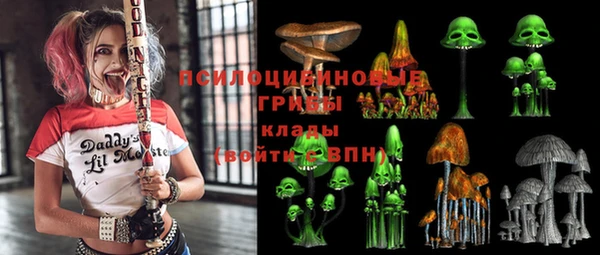 гашик Осинники