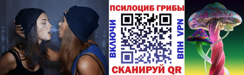 купить закладку  Касли  Галлюциногенные грибы Psilocybe 